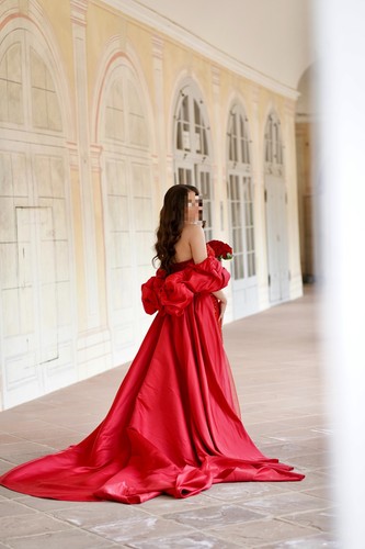 Luxuriöses rotes abendkleid - rotes,