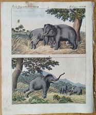 Jagd Fang Elefanten - Bertuch