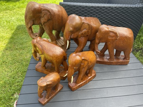 Elefanten als herde massive - herde,