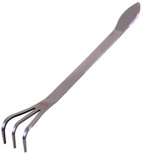 Dingmu Bonsai - Wurzelkralle