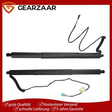 2x Gasfeder Powerlift