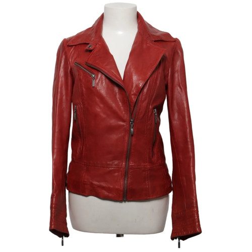 Rosegarden bikerjacke damen - rosegarden,, bikerjacke,