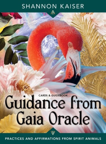 Guidance from gaia oracle - gaia, by