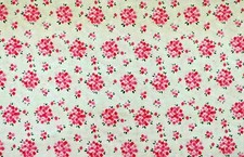 Popeline ♥ Baumwolle Stoff