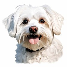 Designer Aufkleber / Sticker