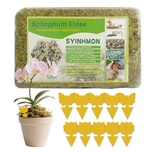 500g sphagnum moos pflanzen - 500g,