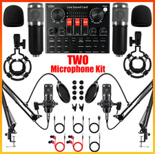 2 Mikrofone Studio-Aufnahmeset