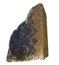 0,38Kg Stromatolith Rohstein