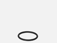 Eheim Dichtungsring für