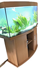 AQUARIUM - SB Vision 260 - JUWEL - PANORAMA - 260 Liter - KOMPLETT incl. Besatz