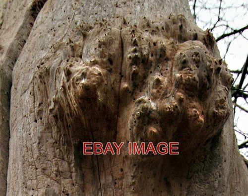 Foto einige von harry - foto,
