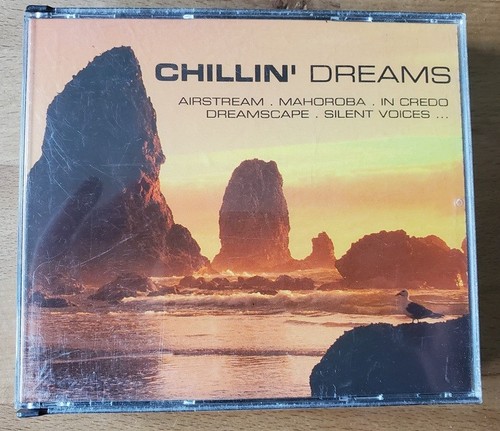 Chillin dreams airstream - dreams, /