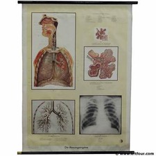 retro Wandkarte Lerhtafel