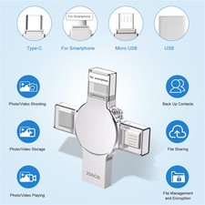 USB 3.0 Typ C Stick 256GBOTG