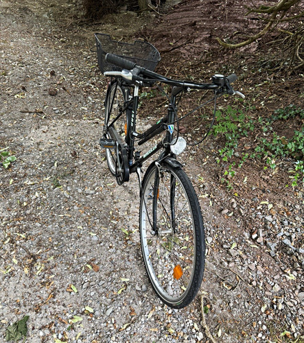 Wheeler city bike schwarz - wheeler,