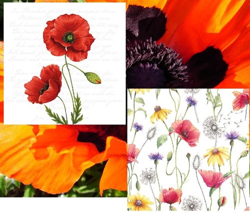 Servietten proud poppy - 20,