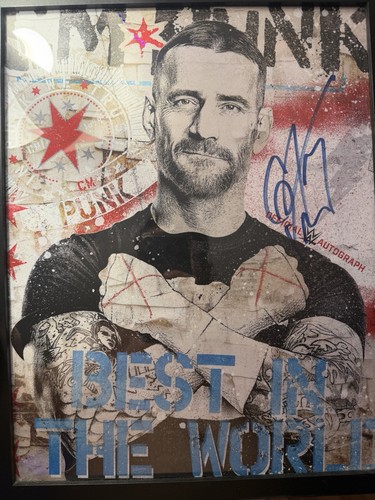 Punk official wwe - official,