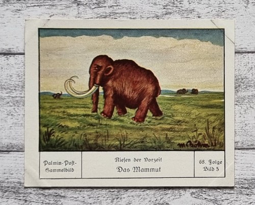 Mammut riesen vorzeit palmin - riesen,