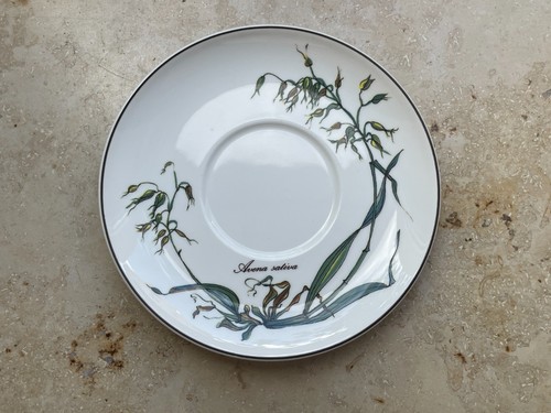 Villeroy boch botanica - villeroy,