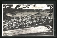 Ansichtskarte Freiwaldau, Celkovy pohled, Panoramablick auf den Ort 