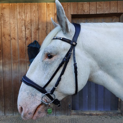 Cheval luxe trense xfull - de,