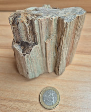 Seltenes türkis-grünes