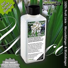 Yukkapalmen Dünger Yucca