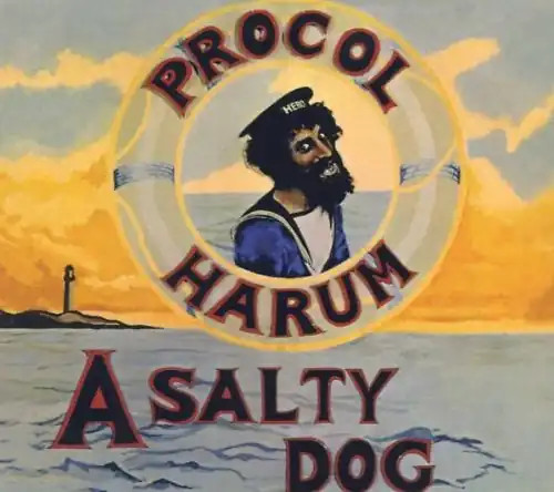 Procol harum salty - salty, dog