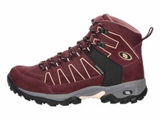 EB Brütting Mount Pinos