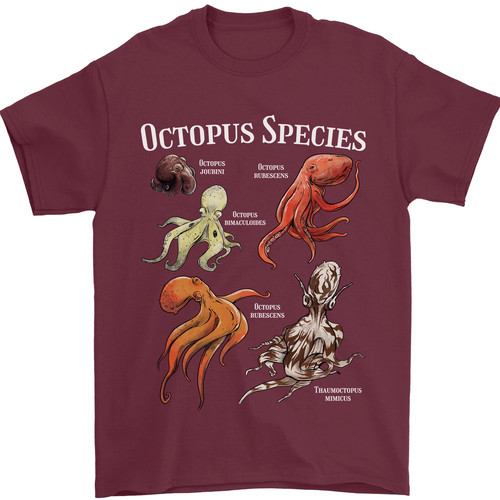 Octopus species scuba diving - octopus,