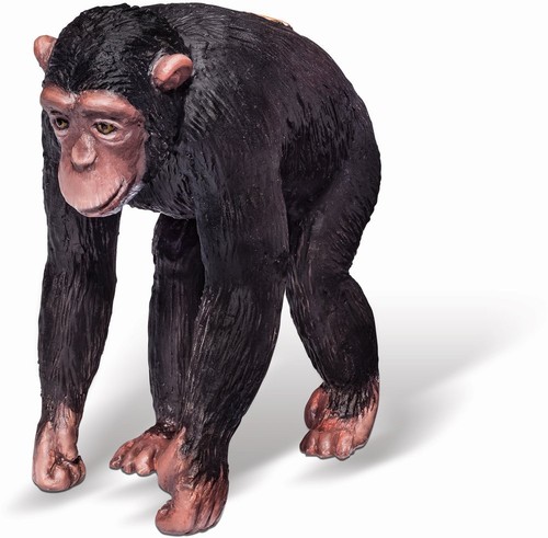Tiptoi affe tiere schimpanse - tiere,