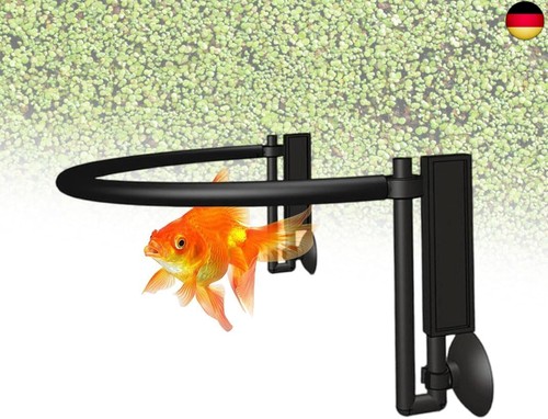 Aquarium schwimmende pflanze - aquarium,