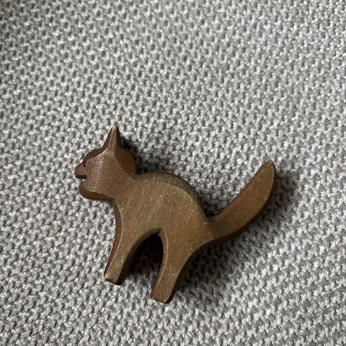 Ostheimer katze alt - katze,