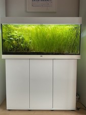 Schönes Juwel Aquarium 100 x 40 x 50cm Komplett Abzugeben Aquarium