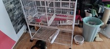 Vogelkäfig Mit Zubehör