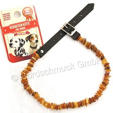 Bernsteinkette Hund Katze