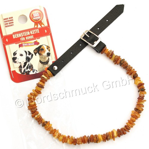 Bernsteinkette hund katze - bernsteinkette,