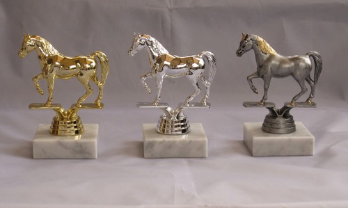 Pokal araber reiten pferd - , reiten,