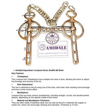 LEBER POOL ANTRIEBSBIT