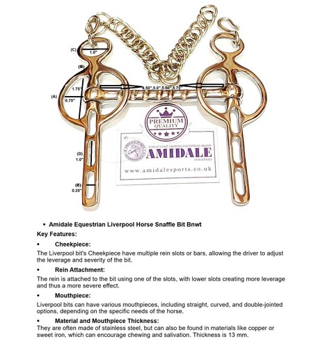 Leber pool antriebsbit - leber,