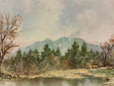 ÖLGEMÄLDE WEIHER LANDSCHAFT