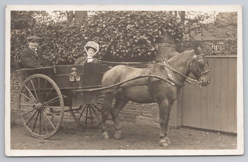 Rppc paar ponyfalle mann - ponyfalle,, &