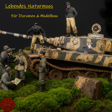 Lebendes Naturmoos – Für Dioramen & Modellbau – Komposition in 9 cm Petrischale