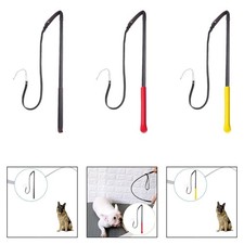 Hundetraining mit der