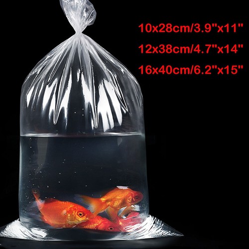 100x fischtransportbeutel - 50/100x,