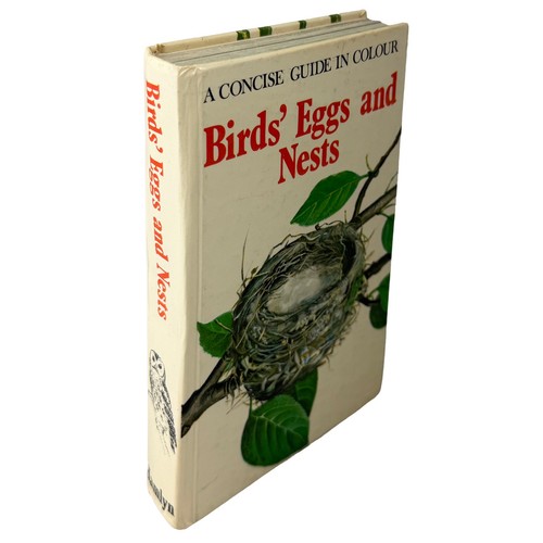 Birds eggs and - eggs, nests