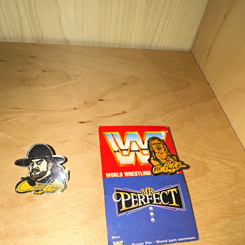 Wwf hasbro perfect - wwf,