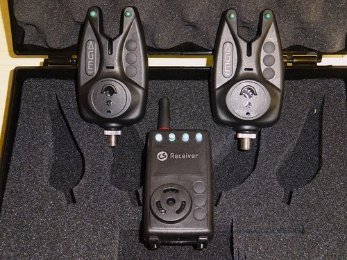 Carp sounder age - carp,