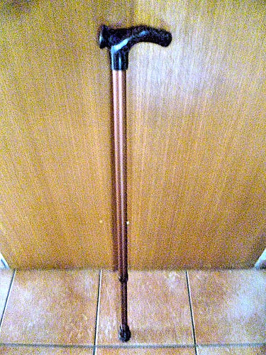Spazierstock wanderstock - spazierstock,