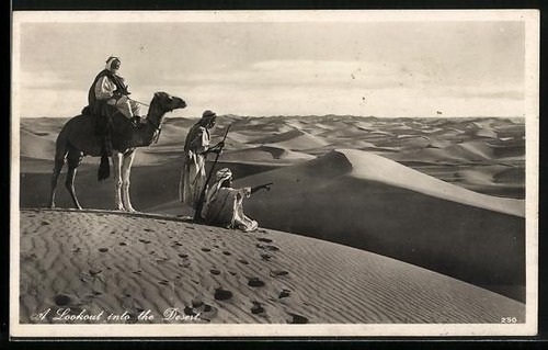 ägypten kamel und beduinen - und,